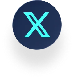 X (Twitter)